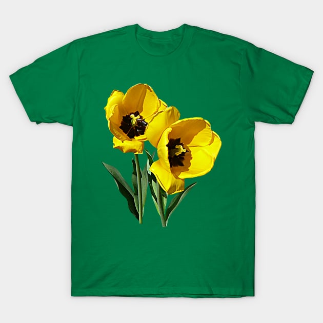 Tulip Best Friends T-Shirt by SusanSavad